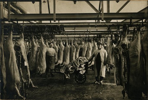 Odense kreaturslagteri omkring år 1900