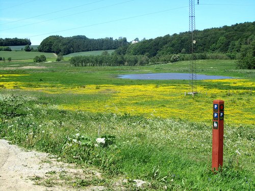 Illerup Ådal 