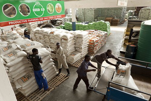 Danida-landbrugsprojekt i Zimbabwe