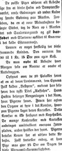 Udklip af artiklen i Social-Demokraten, 20. oktober 1896