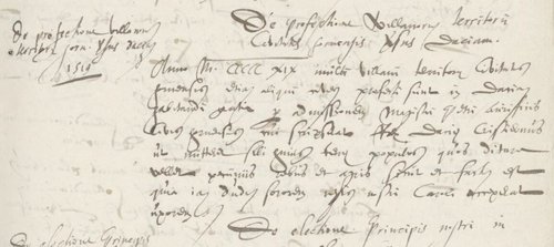 Den latinske krønik Brevissima Chronologia et Topographia Ecclesiarum et Conventuum civitatis Hoernensis 
